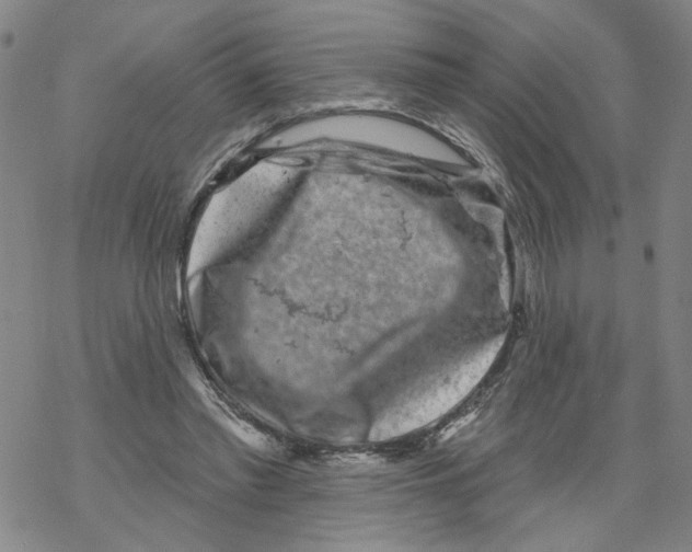 X0000067900397200605111922