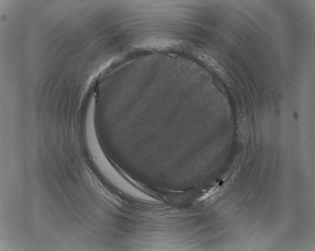 X0000067900399200605111922