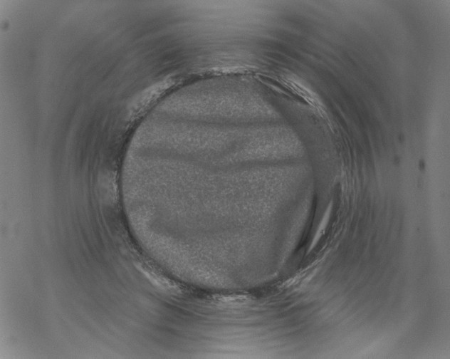 X0000067900401200605111922