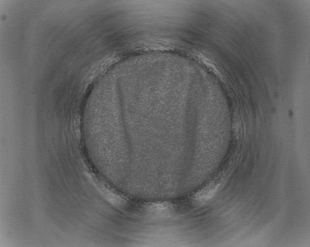 X0000067900402200605111922