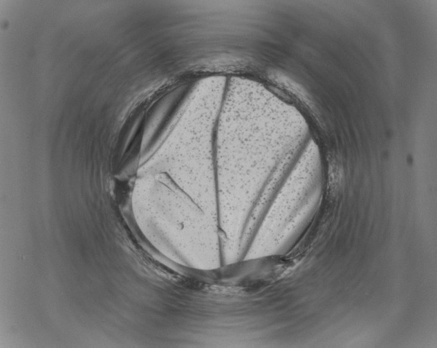 X0000067900403200605111922