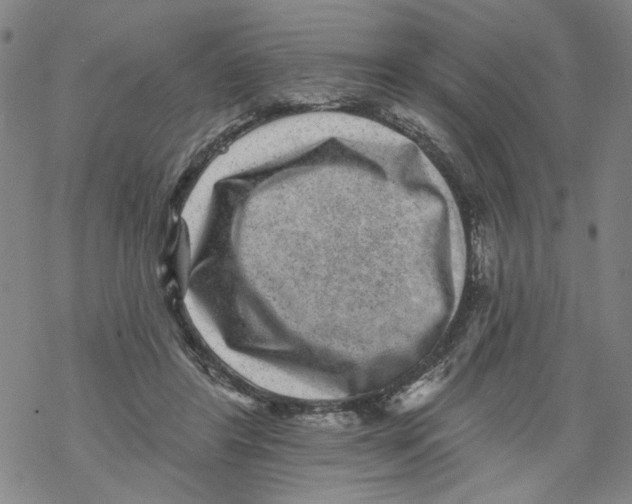 X0000067900404200605111922