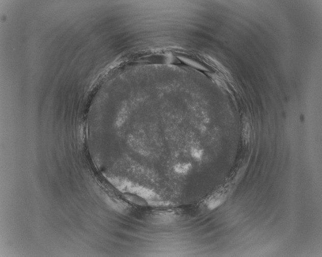 X0000067900405200605111922