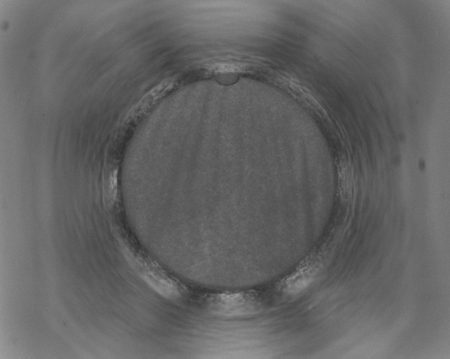 X0000067900406200605111922