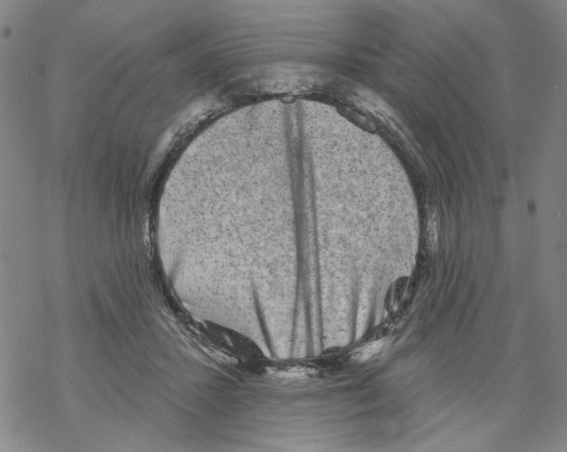 X0000067900407200605111922