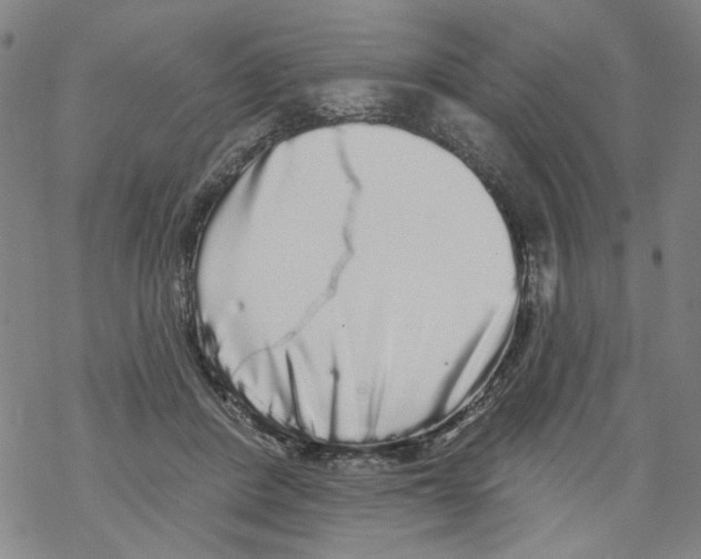 X0000067900408200605111922