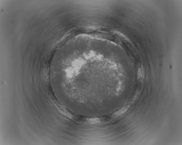 X0000067900409200605111922