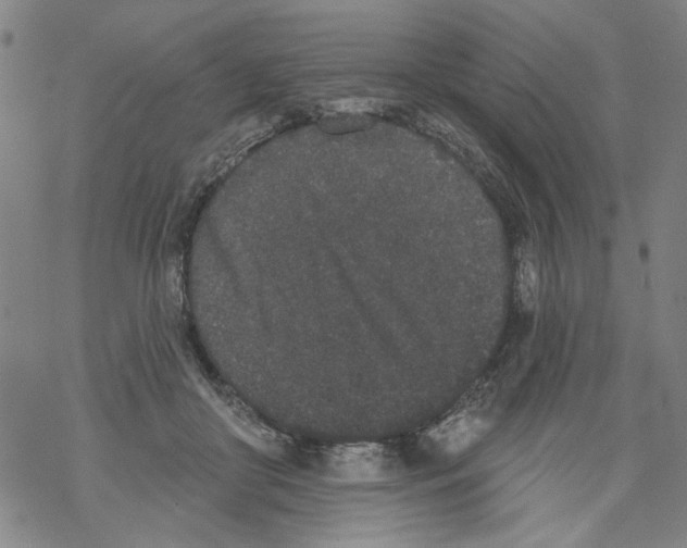 X0000067900410200605111922