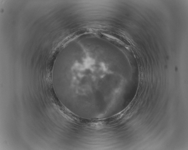 X0000067900411200605111922