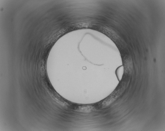 X0000067900414200605111922