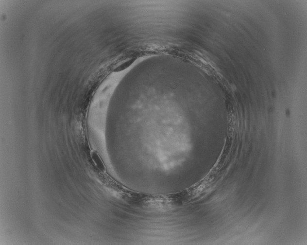 X0000067900415200605111922