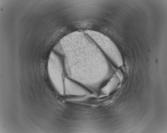 X0000067900416200605111922