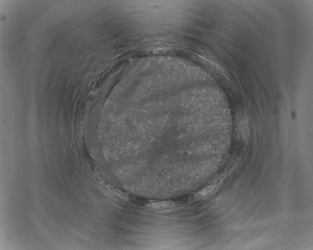 X0000067900417200605111922