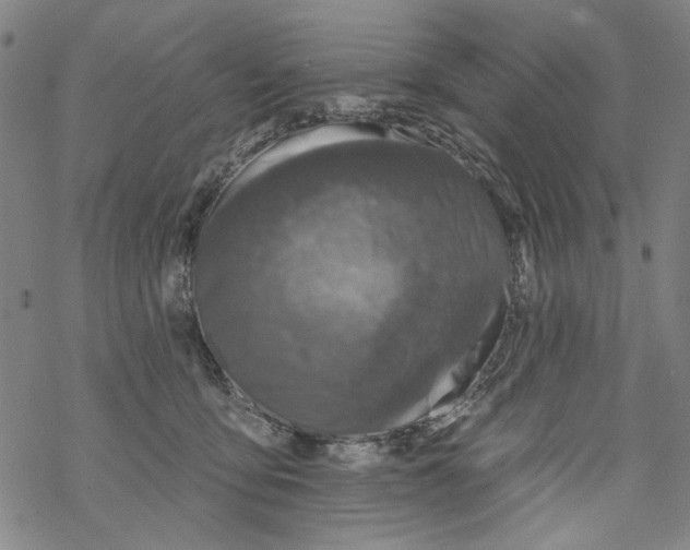 X0000067900419200605111922