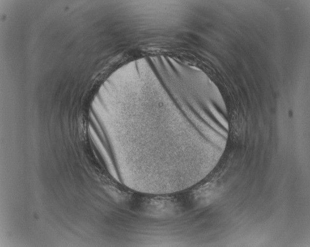 X0000067900420200605111922