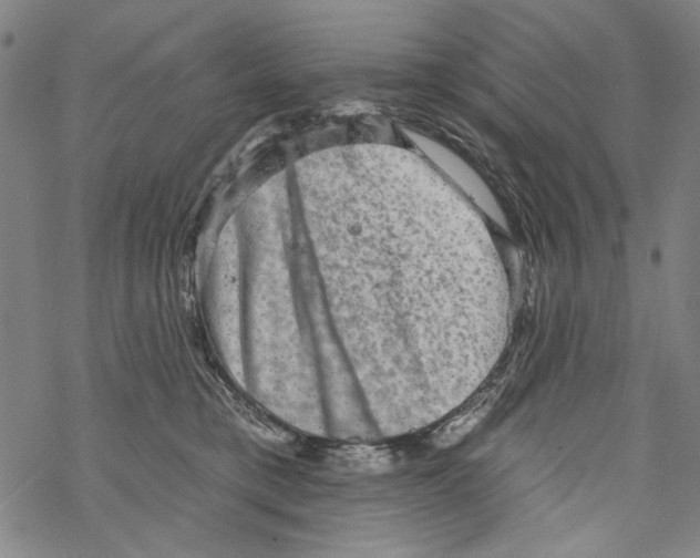 X0000067900421200605111922