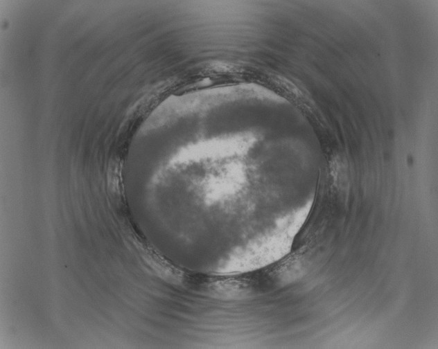 X0000067900423200605111922