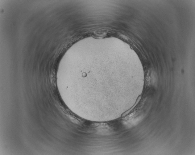 X0000067900424200605111922