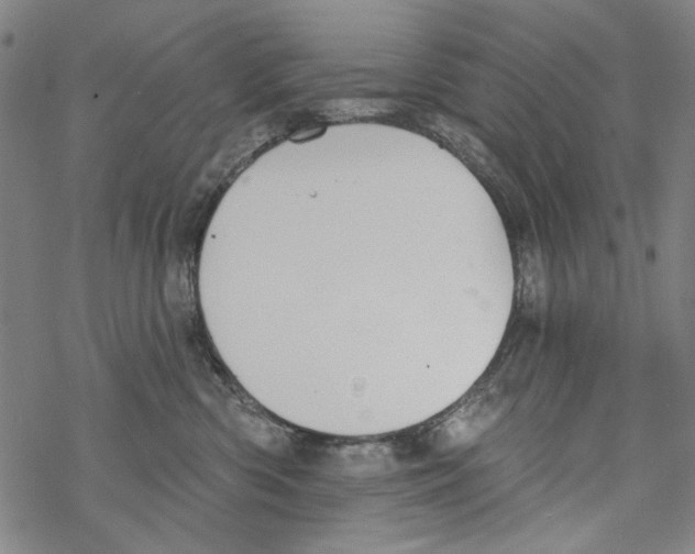 X0000067900426200605111922