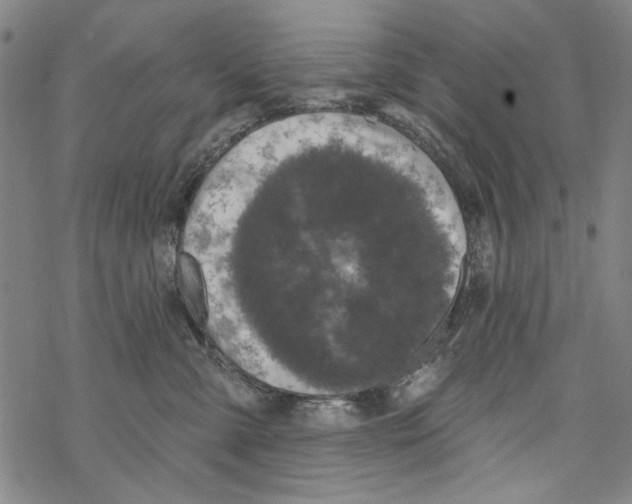 X0000067900427200605111922