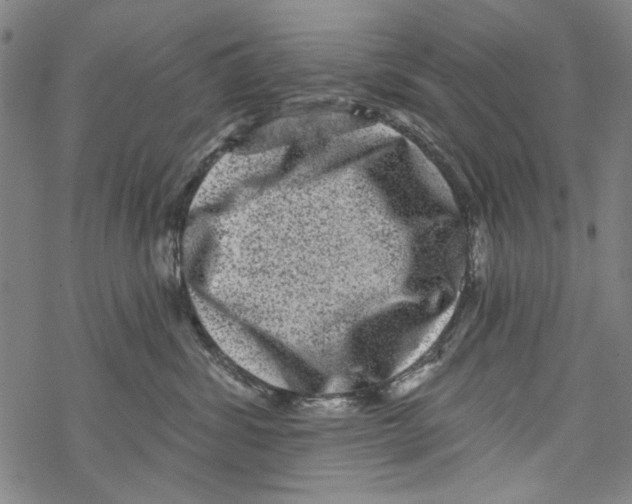 X0000067900428200605111922