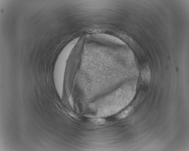 X0000067900429200605111922