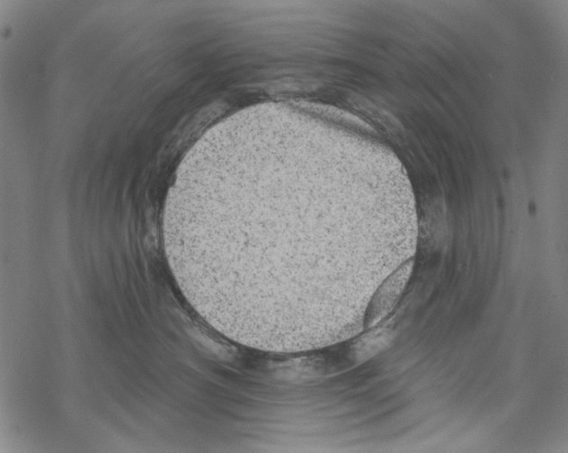 X0000067900430200605111922