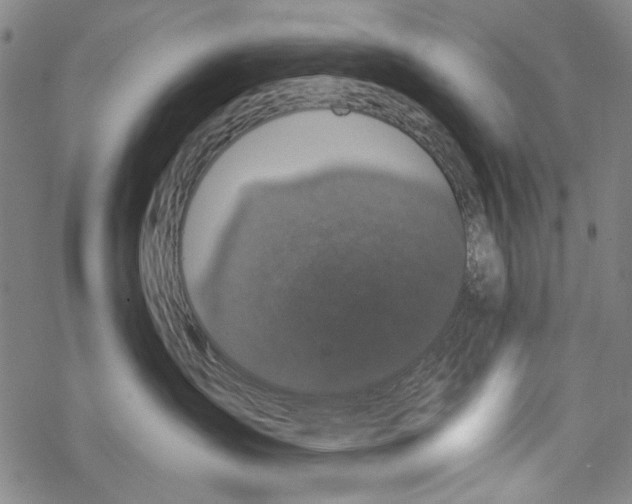 X0000067900431200605111922