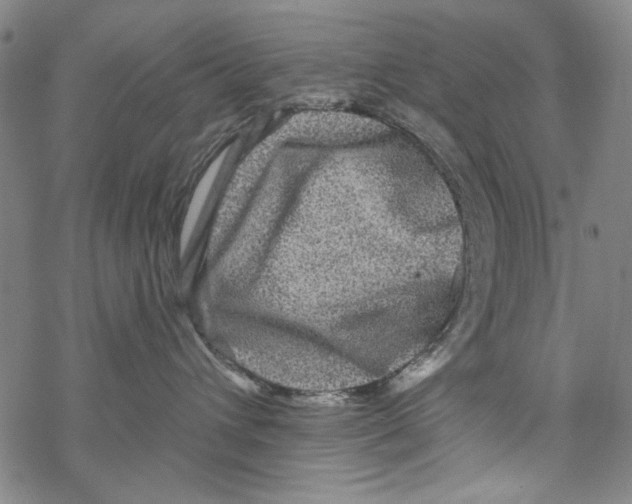 X0000067900432200605111922