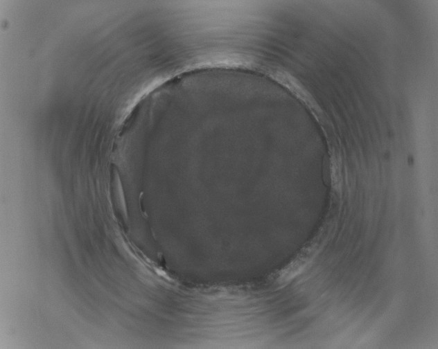 X0000067900434200605111921