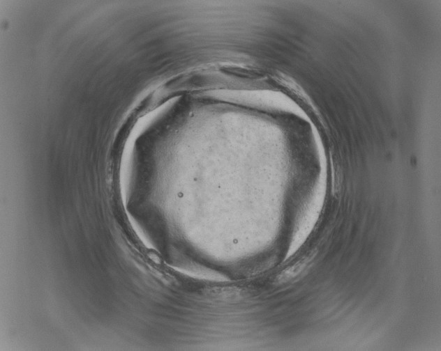 X0000067900435200605111921