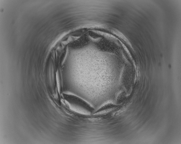 X0000067900436200605111921