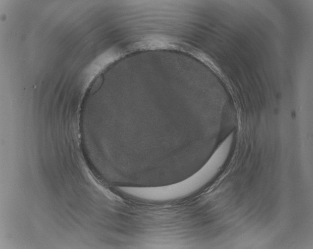 X0000067900438200605111921