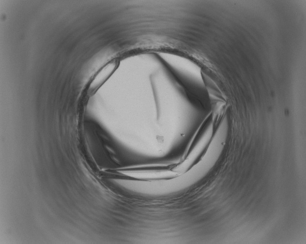 X0000067900440200605111921