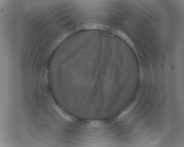 X0000067900441200605111921