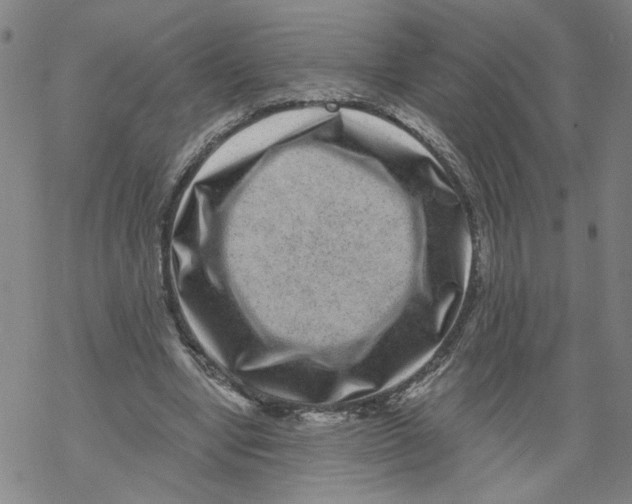 X0000067900442200605111921