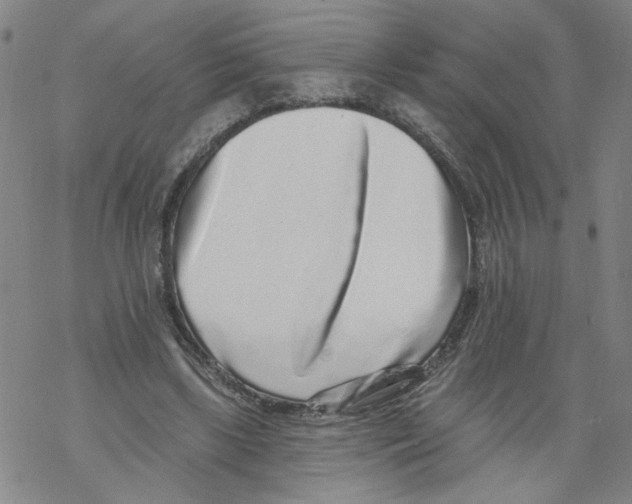 X0000067900443200605111921