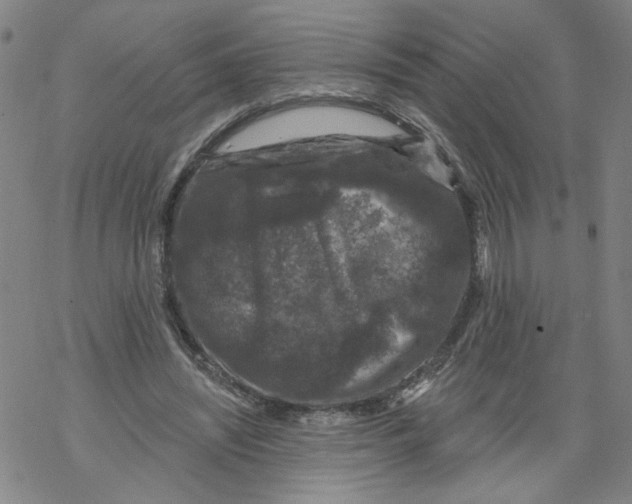 X0000067900444200605111921