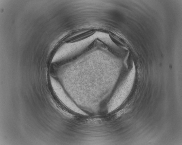 X0000067900446200605111921