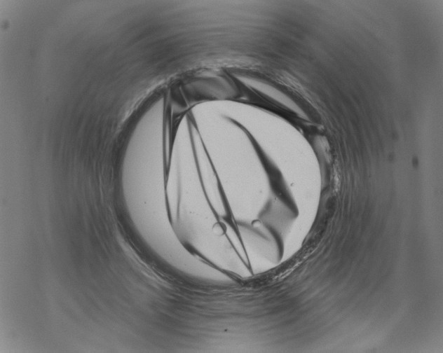 X0000067900448200605111921