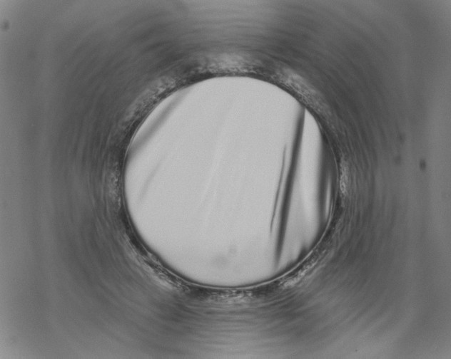 X0000067900449200605111921