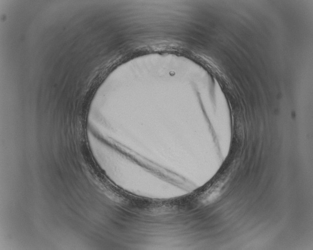 X0000067900453200605111921