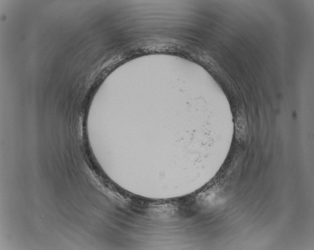 X0000067900454200605111921