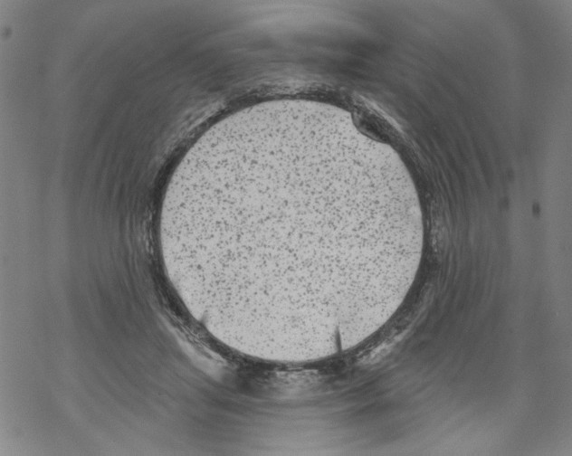 X0000067900455200605111921