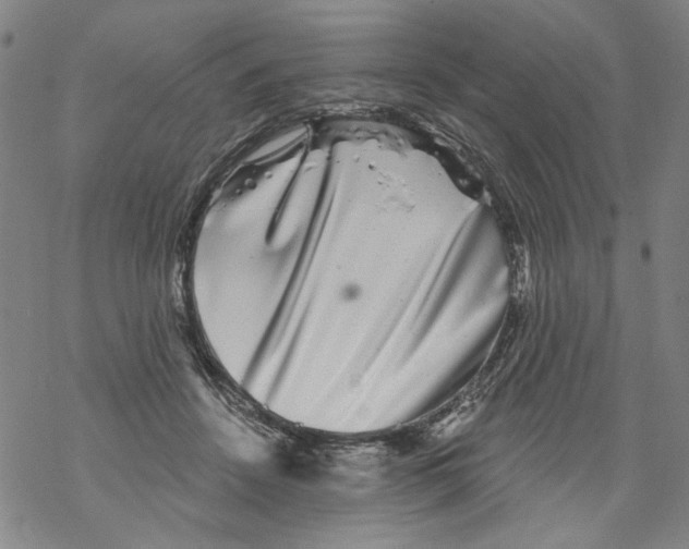 X0000067900456200605111921