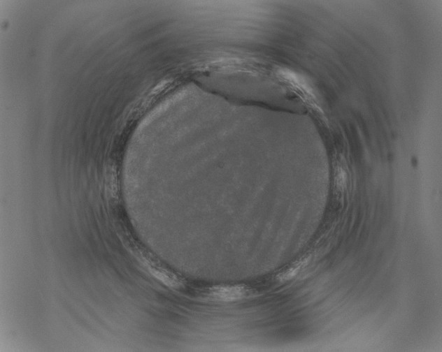 X0000067900457200605111921