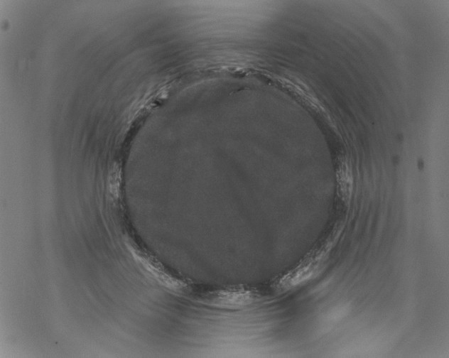 X0000067900458200605111921