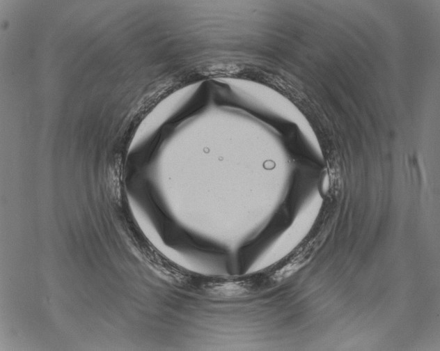 X0000067900460200605111921