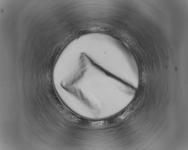 X0000067900461200605111922