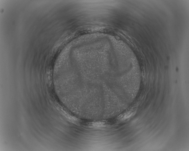 X0000067900462200605111922